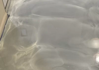 Trusted flooring services